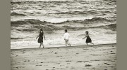 Patricia Walsh Photography