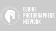 Equine Photography