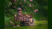 Kara Reese Photography