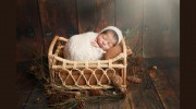 Cindy Harter Photography