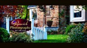 Popovich Photography