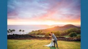 Ann Ferguson Photography