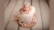 Laura Miller Photography