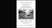 Stan Goldblatt Photography