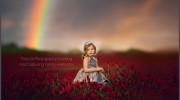 Lindsey Lee Photography