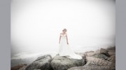 Bayless Photography