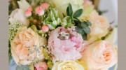Heather Ellis Photography