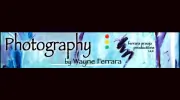 Photography By Wayne Ferrara