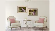 Sari Underwood Photography