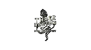 Three Region Photography
