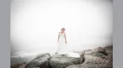Bayless Photography
