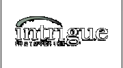 Intrigue Photography