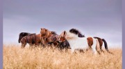 Deborah Kalas Photography