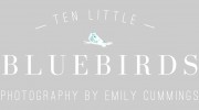Ten Little Bluebirds